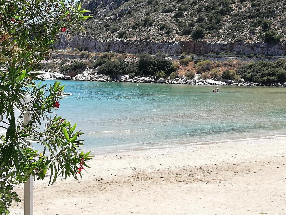 Althea Holiday Studio Agia Marina  Dış mekan fotoğraf