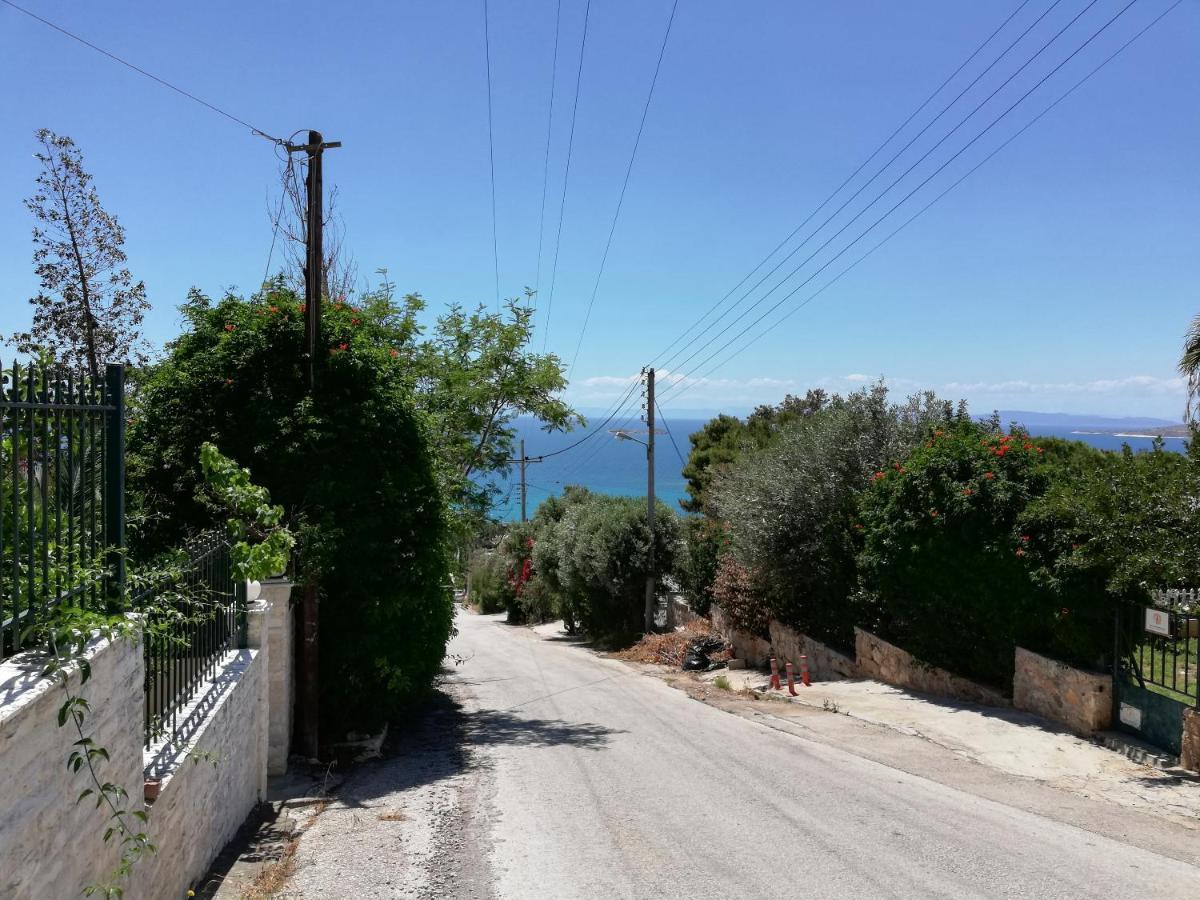 Althea Holiday Studio Agia Marina  Dış mekan fotoğraf